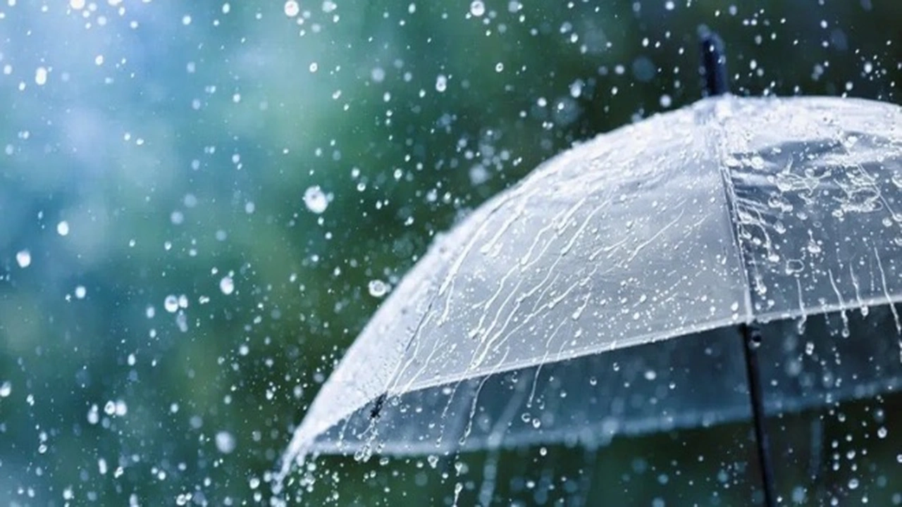 توقعات حالة الطقس اليوم السبت في مختلف المناطق وفق هيئة الأرصاد الجوية